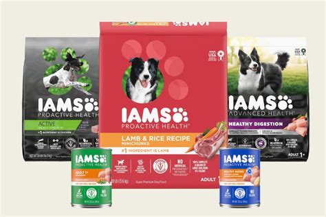 Iams Dog Food Review 2024