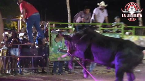 Y Valla Que Jugada Por La Lluvia Ya No Se Monto Dos Toros Rancho La