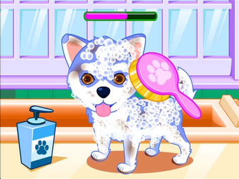 Puppy games & kitty game salon - Yokogames.com