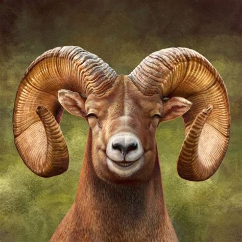 Sheep 02 Smiling Bighorn Sheep Painting By Toh Eng Chai Saatchi Art