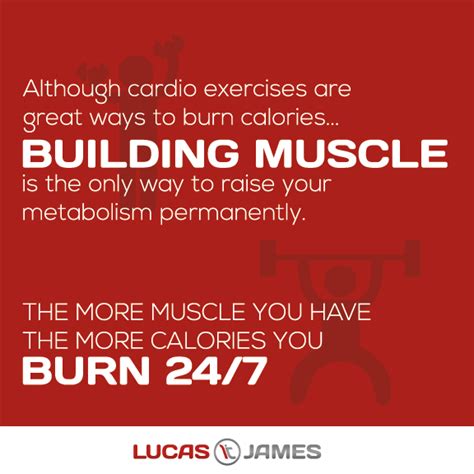 Why You Should Build Muscle