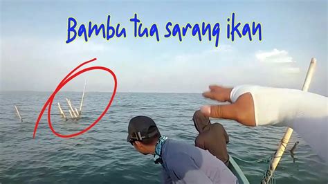 Nemu Rumpon Ambrol Yang Jadi Sarang Ikan Di Tengah Laut Ultralight