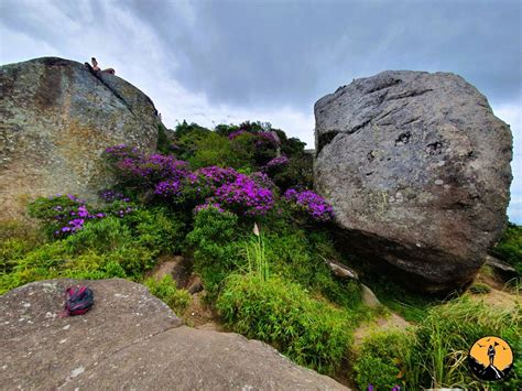 Morro do Anhangava Como chegar e como é a subida