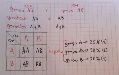 C Mo Podr N Ser Los Hijos De Un Hombre De Grupo Ab Y De Una Mujer De