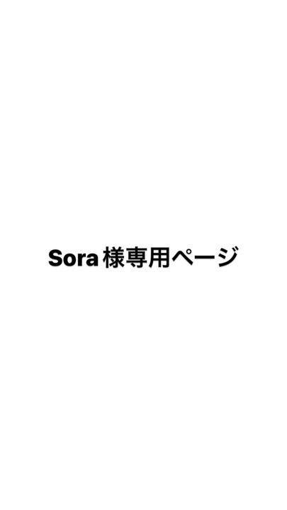 アクセサリ ソラ様専用ページの通販 by ゆりあプロフ必読多忙のため対応遅れますラクマ カテゴリ