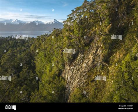 temperate rainforest  cape horn biosphere reserve  magellanic