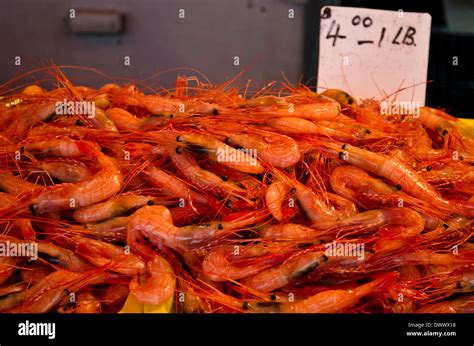 Giant Shrimp Hi Res Stock Photography And Images Alamy