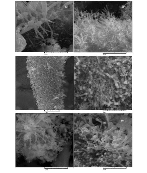 Sem Images Of Samples Grown Without And With The Magnetic Field Using