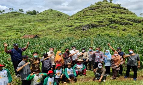 Kementan Dukung Petani Gunung Kidul Membuat Benih Jagung Hibrida Sendiri