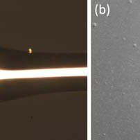 (a) Top side of the coated BMR with 30 nm thick gold. (b) SEM image of ...