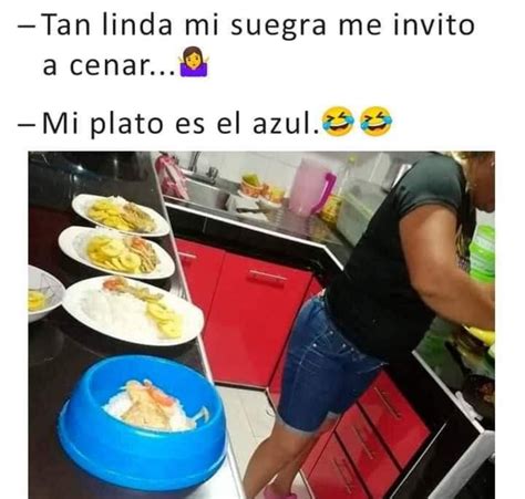 Los mejores memes y origen del Día de la Suegra FOTOS Grupo Milenio