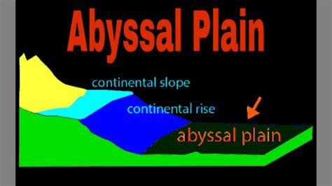 Abyssal Plain Definition