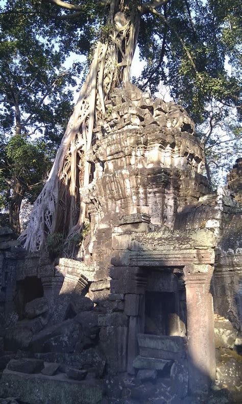 ta prohm stock image image  prompted feature prohm