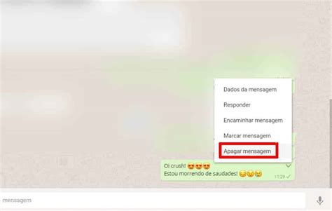 Como Apagar Mensagens No Whatsapp Web Ou No Pc Olhar Digital