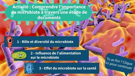 Le Microbiote Intestinal