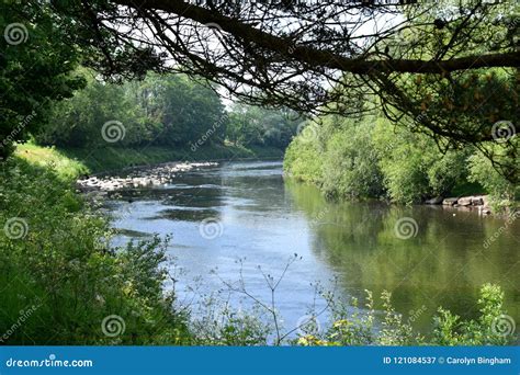 The River Taff, Cardiff, Wales Stock Image - Image of greenery, wales: 121084537