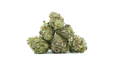 Alaskan Thunder Fuck Explained History Potency Buying Tips