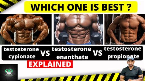 The Top Three Testosterone Esters Testosterone Cypionate Vs