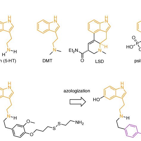 A Representative Tryptamine Derived Agonists Of 5 HT Receptors