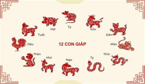 Vietnamese zodiac: Insights into culture and astrology