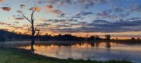 Manilla River, NSW Australia : r/australia