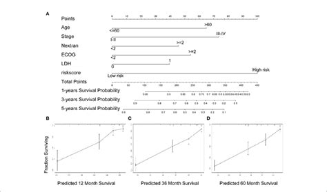 A Nomogram Based On The Seven Gene Prognostic Signature A