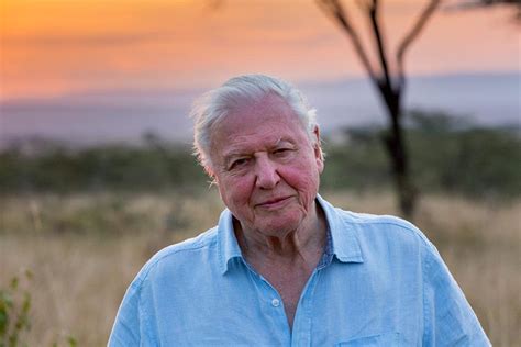 David Attenborough Biography, Wiki, Age, Wife, Net Worth, Parents & More