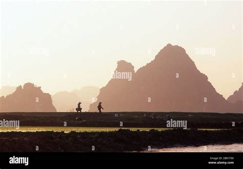 Vietnam Scenery Near Kenh Ga Ninh Binh Province At The Floating