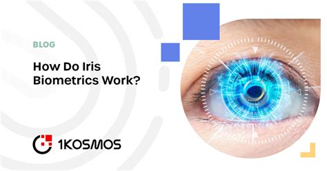 How Do Iris Biometrics Work Kosmos