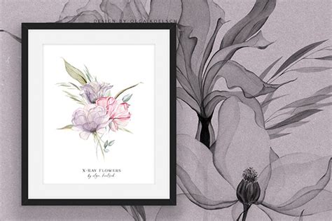 X-ray flowers illustration. Wall-art concept :: Behance