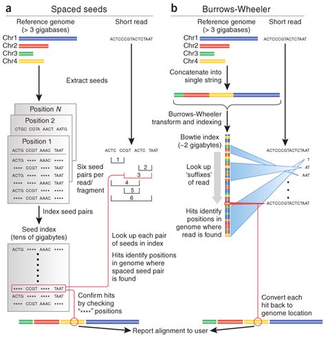 Rna Seq Tutorial Bch709 Introduction To Bioinformatics