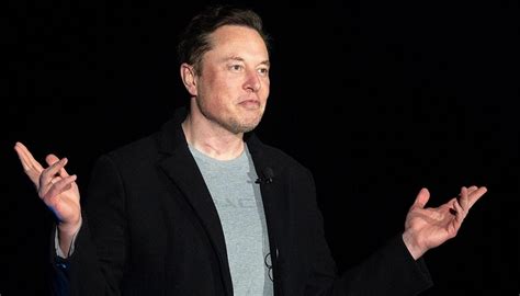 Elon Musk Countersues Twitter Over 44 Billion Deal Newshub