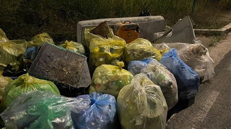 Piazzole Pulite Volontari Plastic Free Al Lavoro Larea Di Viale