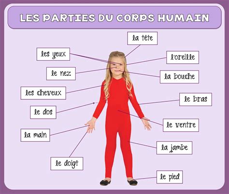 Notre blog de français Parties du corps vocabulaire