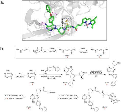 Structure And Synthetic Scheme Of Ibrutinib Bfl A Crystal