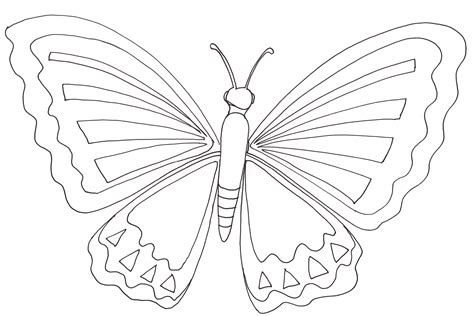 Dessins De Coloriage Papillon Imprimer Sur Laguerche Page