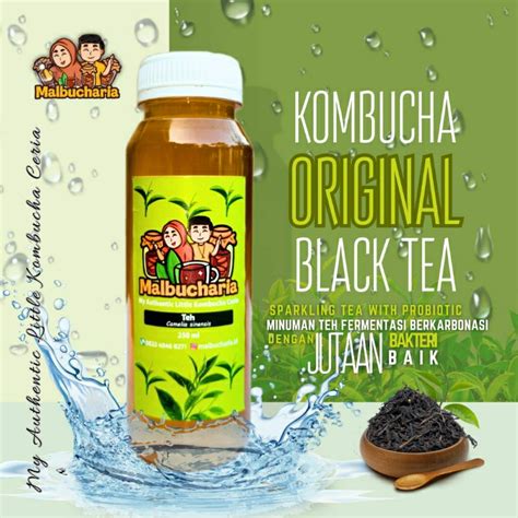 Jual Kombucha Original Black Tea Minuman Probiotik Teh Fermentasi