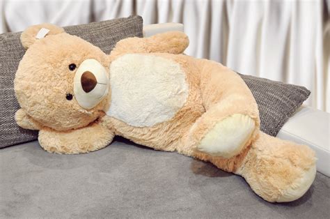 Charta Definieren Kunde teddybär 100 cm günstig Asser zu Gunsten von