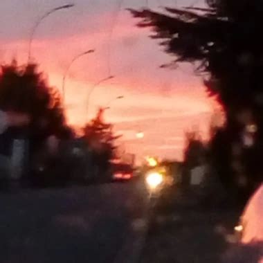 Girl Fucks Statue Webcam Webcam Porn XHamster