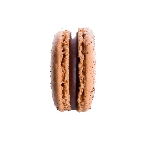 Lazdyn Rie Ut Macaron Sugamour