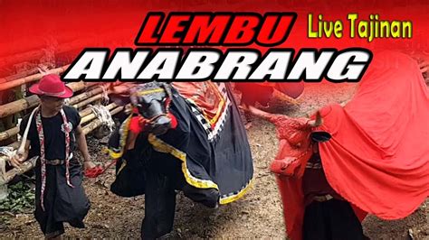 Bantengan Lembu Anabrang Feat Lembu Rekso Kalap Live Baran Legok