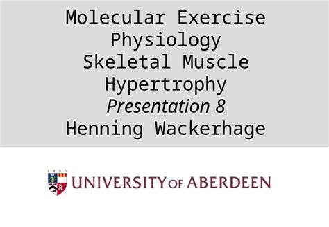 Ppt Molecular Exercise Physiology Skeletal Muscle Hypertrophy