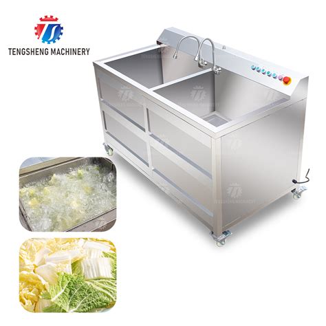 Ts B Double Bowl Customized Ultrasonic Ozone Washer Automatic Fruit