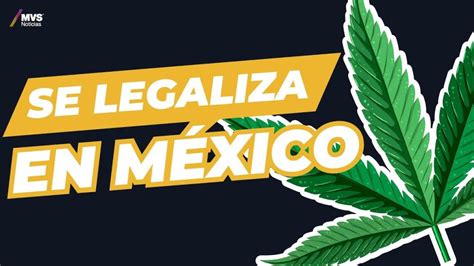 Todo Lo Que Necesitas Saber Sobre La Legalizaci N De La Marihuana En