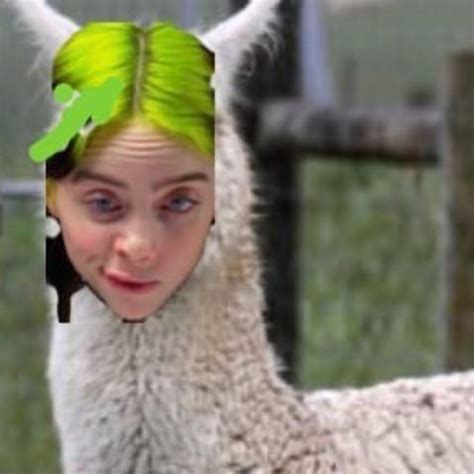 BILLIE THE LLAMA AHAHAHAH