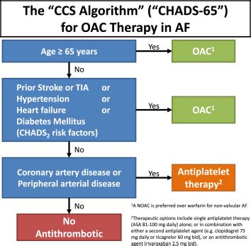 2018 Focused Update Of The Canadian Cardiovascular Society Guidelines