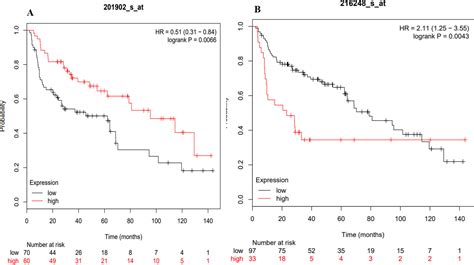 Frontiers Joint Transcriptomic Analysis Of Lung Cancer And Other Lung