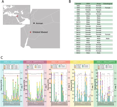Automated High Throughput Biological Sex Identification From