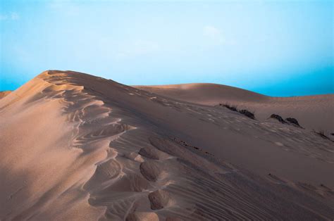 Tottori Sand Dunes: How to explore the hidden desert of Japan