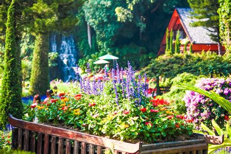 Beautiful Flower Pot in Garden Stock Image - Image of gardening ...